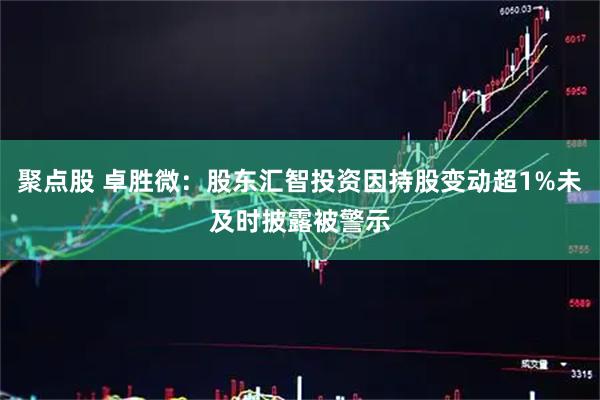 聚点股 卓胜微：股东汇智投资因持股变动超1%未及时披露被警示
