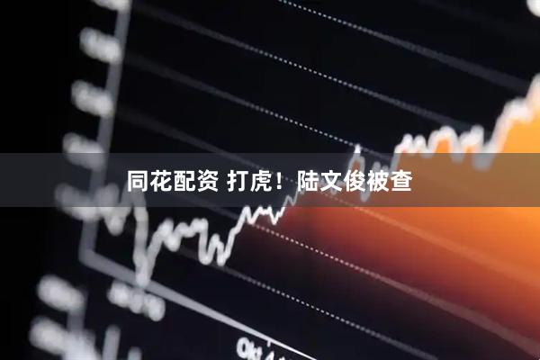 同花配资 打虎！陆文俊被查