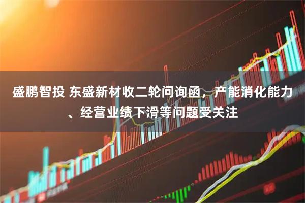 盛鹏智投 东盛新材收二轮问询函，产能消化能力、经营业绩下滑等问题受关注