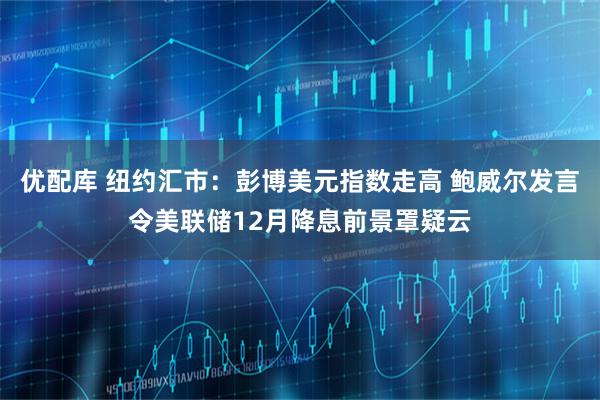 优配库 纽约汇市：彭博美元指数走高 鲍威尔发言令美联储12月降息前景罩疑云