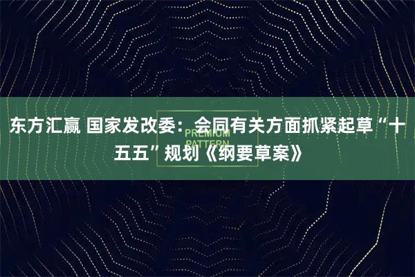 东方汇赢 国家发改委：会同有关方面抓紧起草“十五五”规划《纲要草案》